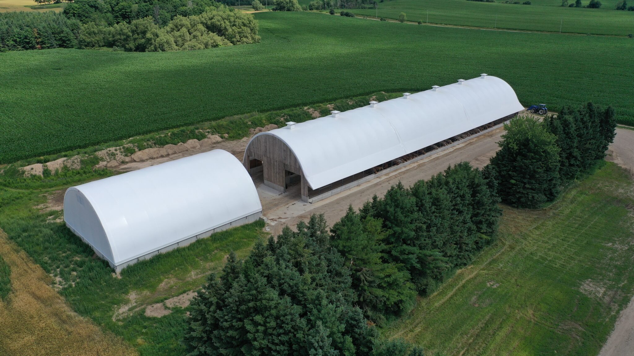 Ag-Livestock-Header-scaled-1